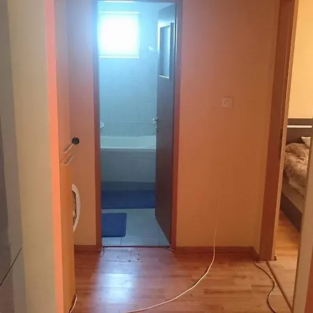 Narciselor Apt